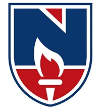 Narayana Logo
